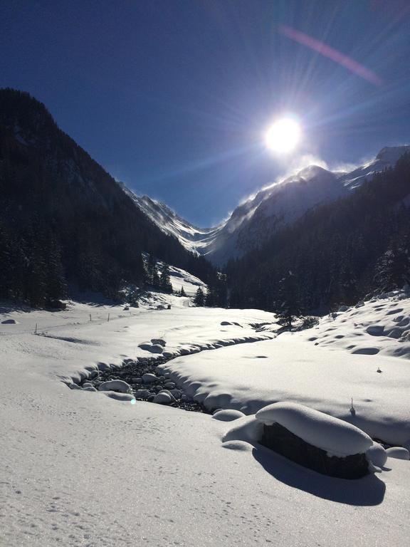 Апартаменты Martlerhof Aschau Im Zillertal Экстерьер фото